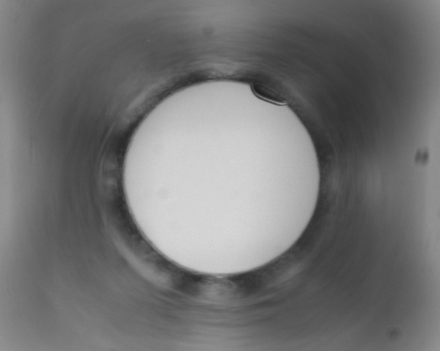 X0000110730215200907022118