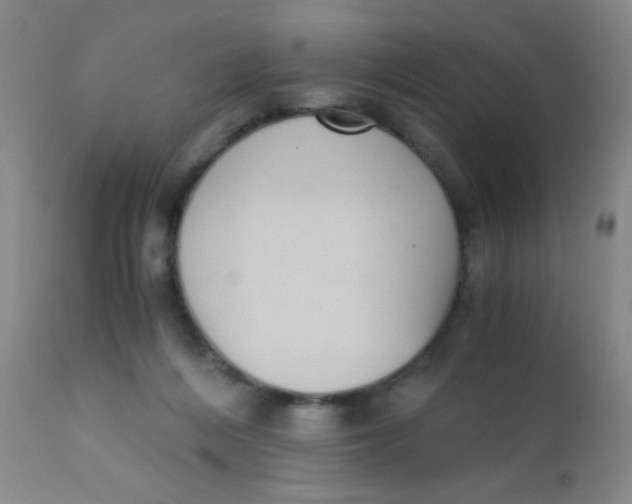 X0000110730216200907022118