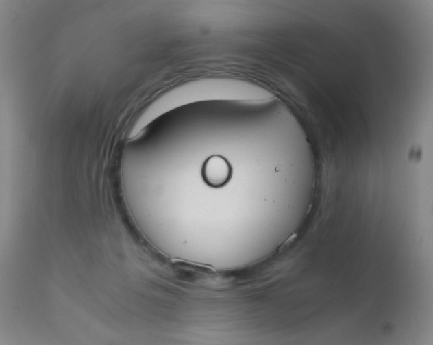 X0000110730217200907022118