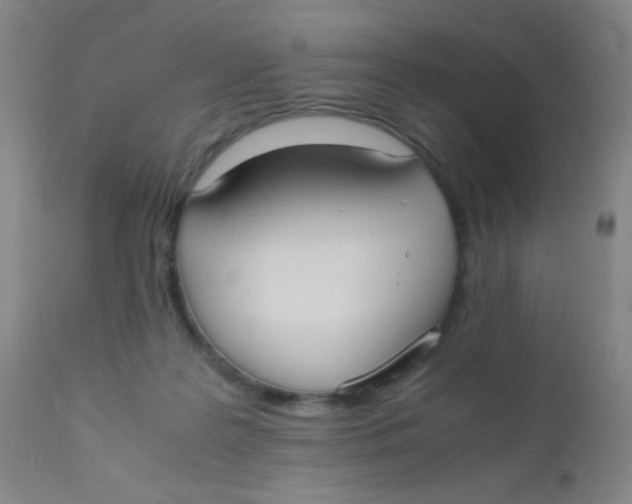 X0000110730219200907022117