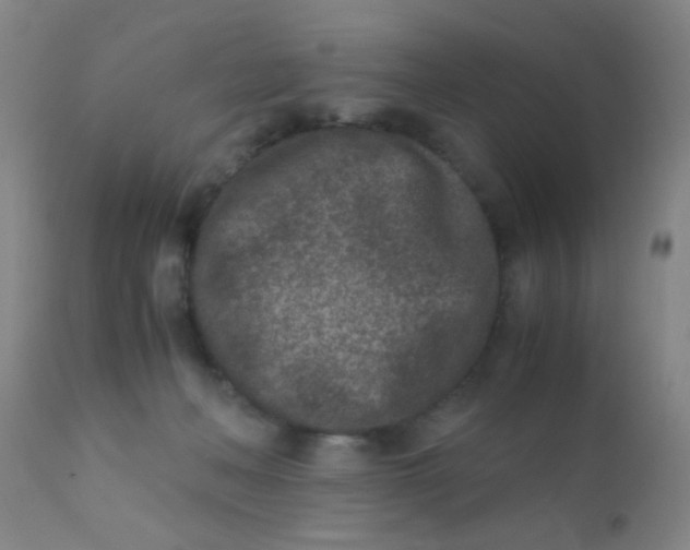 X0000110730222200907022117