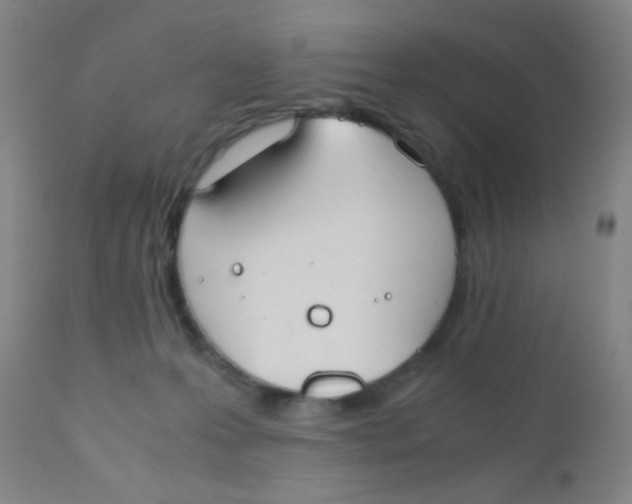 X0000110730223200907022117