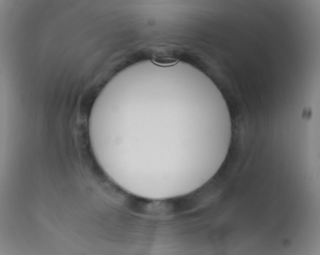 X0000110730225200907022117