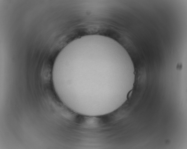 X0000110730226200907022117