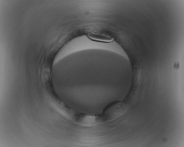 X0000110730227200907022117