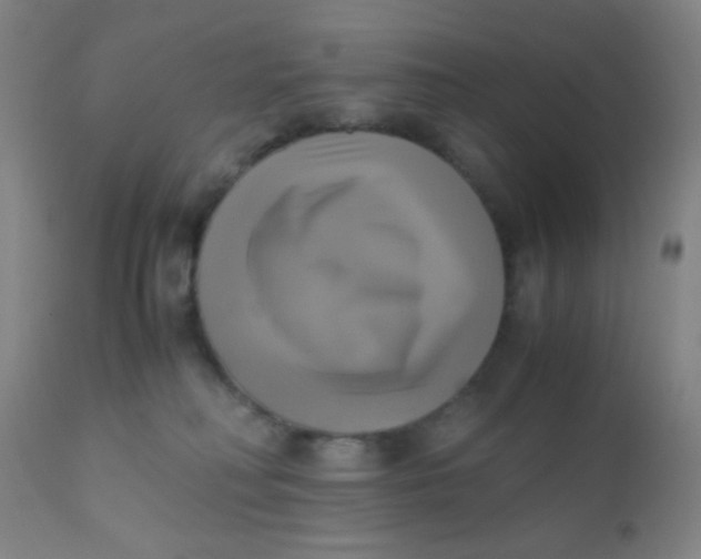 X0000110730230200907022117