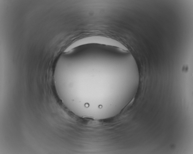 X0000110730231200907022117