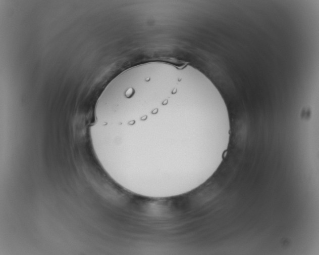 X0000110730232200907022117