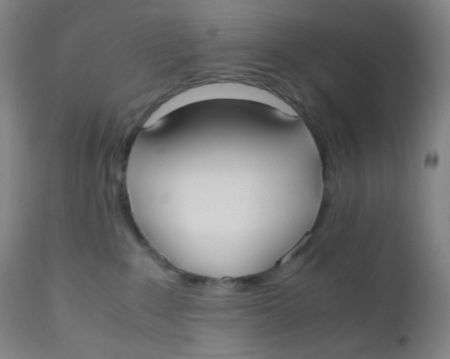 X0000110730235200907022117