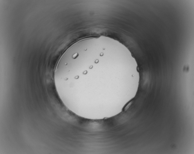 X0000110730236200907022117