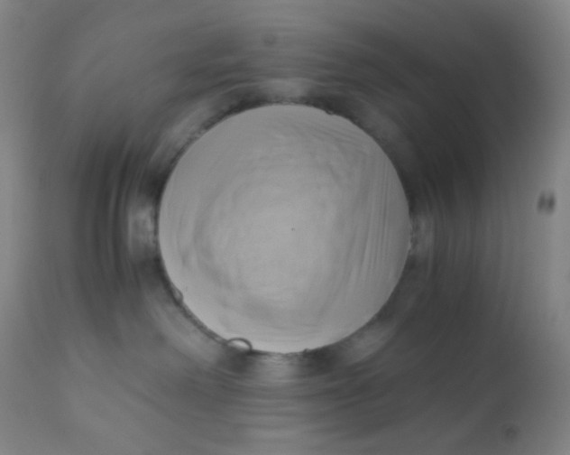 X0000110730238200907022117