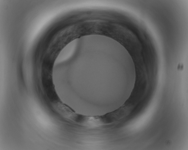 X0000110730239200907022117