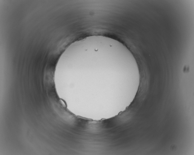 X0000110730240200907022117