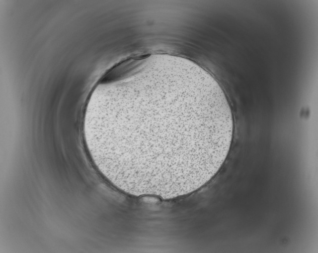 X0000110730241200907022116