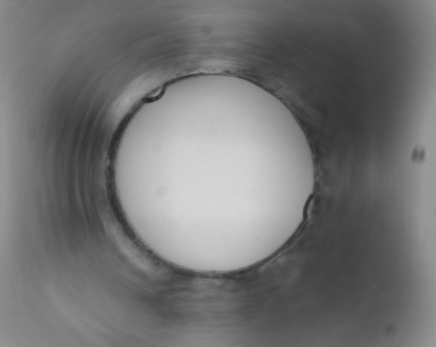 X0000110730242200907022116