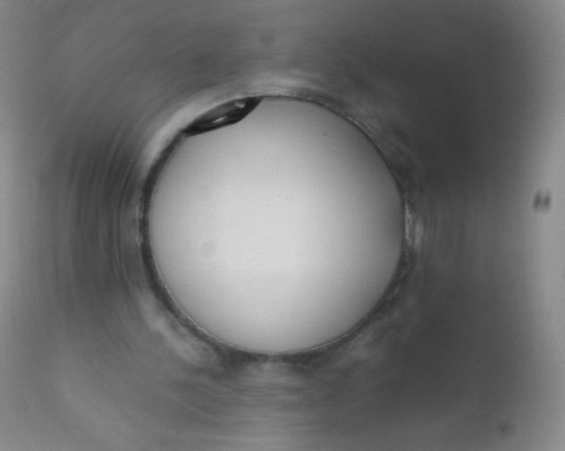 X0000110730244200907022117