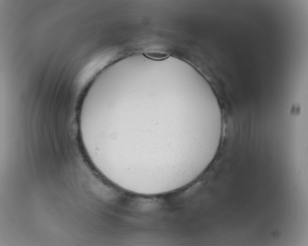 X0000110730245200907022117