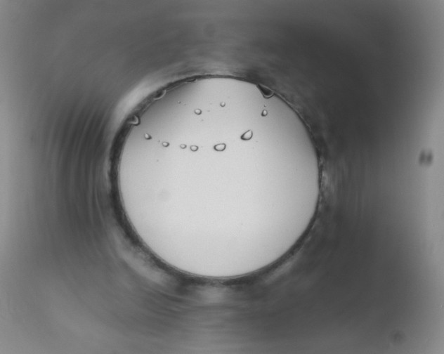 X0000110730246200907022117