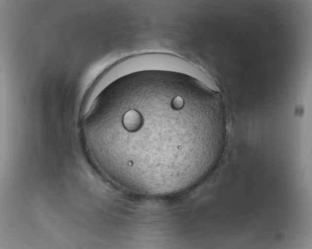 X0000110730248200907022117