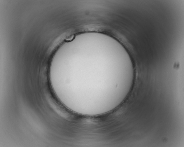 X0000110730250200907022117