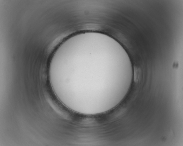 X0000110730252200907022117