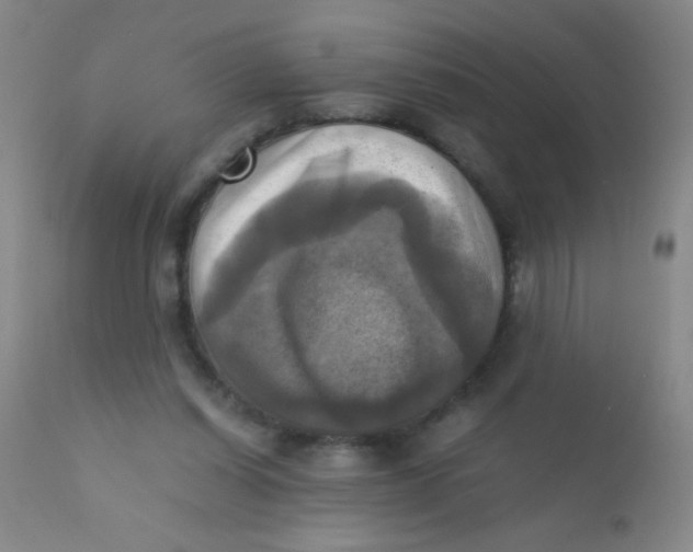 X0000110730254200907022117