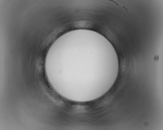 X0000110730255200907022117