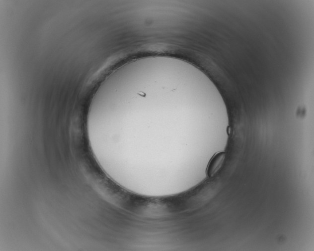 X0000110730256200907022117