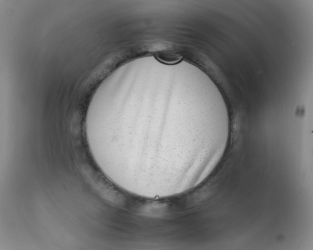 X0000110730257200907022117