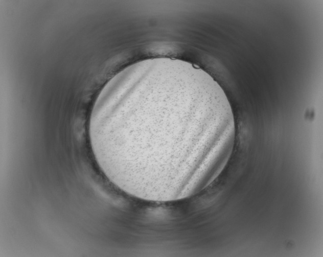 X0000110730259200907022117