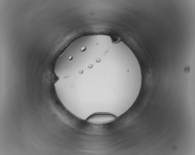 X0000110730260200907022117