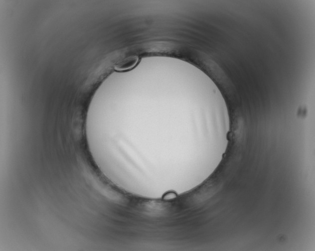 X0000110730261200907022117