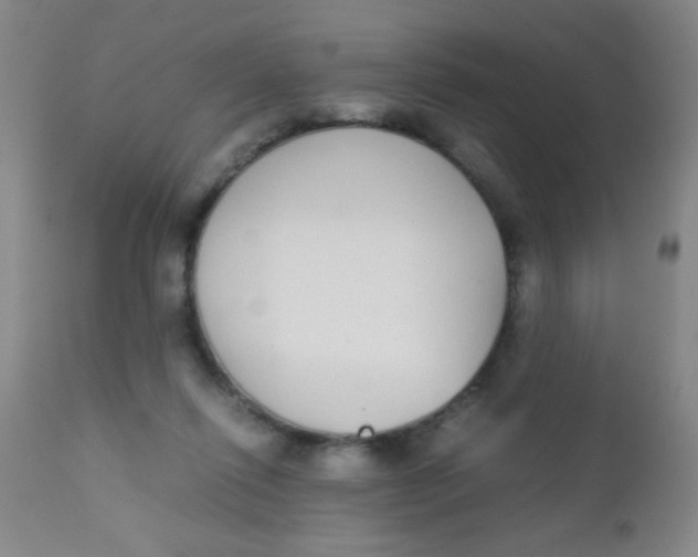 X0000110730262200907022117