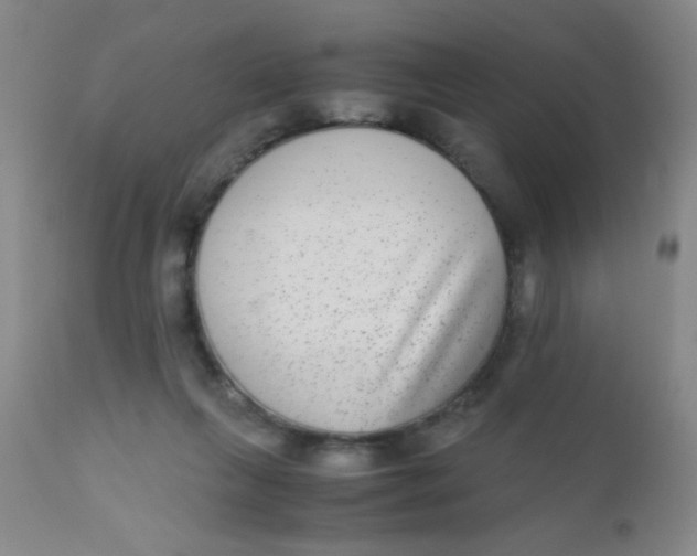 X0000110730263200907022117