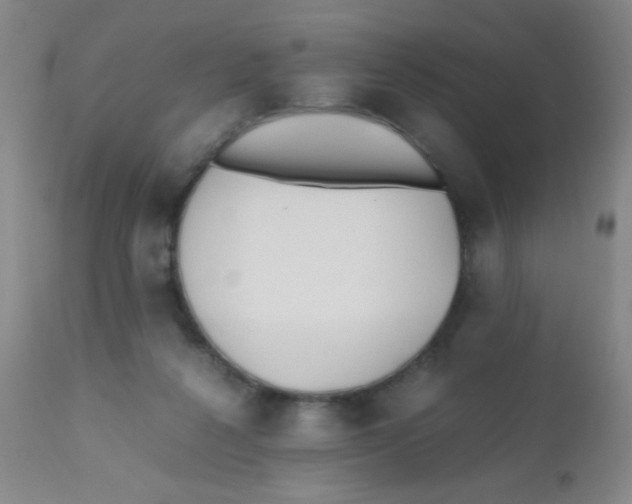 X0000110730264200907022117