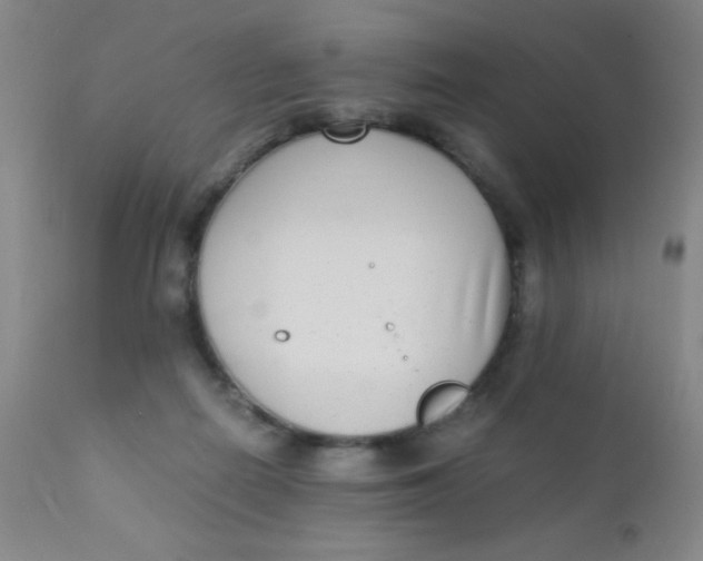 X0000110730266200907022117