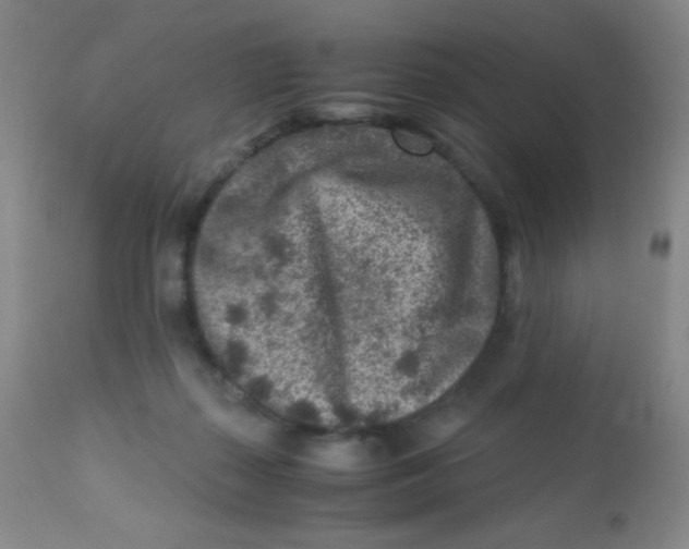 X0000110730267200907022117