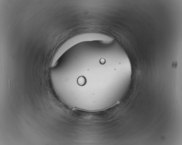 X0000110730268200907022117