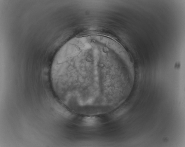 X0000110730269200907022117