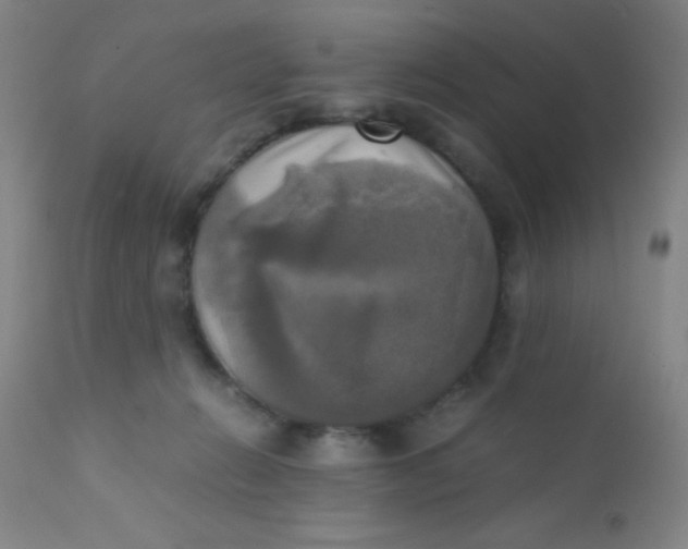 X0000110730270200907022117