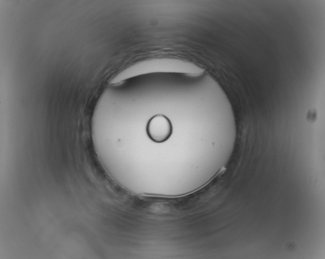 X0000110730272200907022117