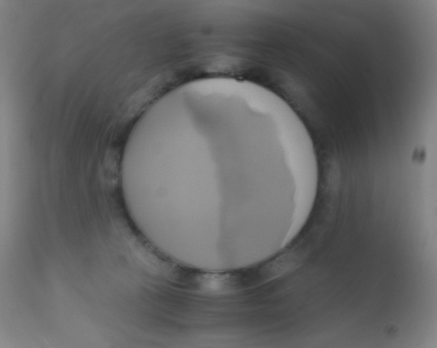 X0000110730273200907022117