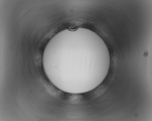 X0000110730274200907022117