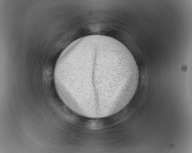 X0000110730275200907022117