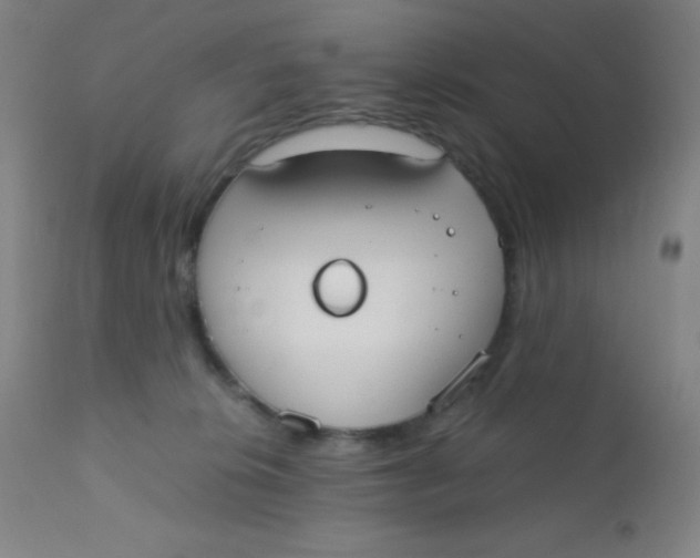 X0000110730276200907022117