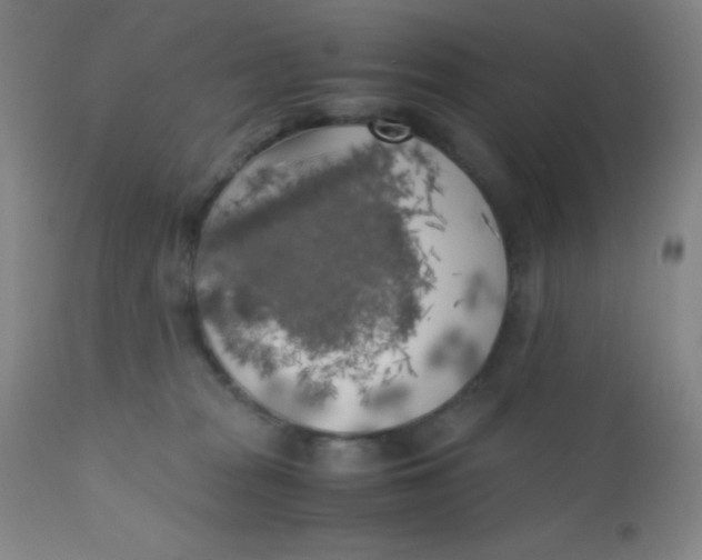 X0000110730277200907022117