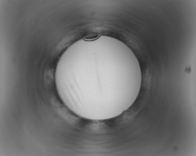 X0000110730278200907022117