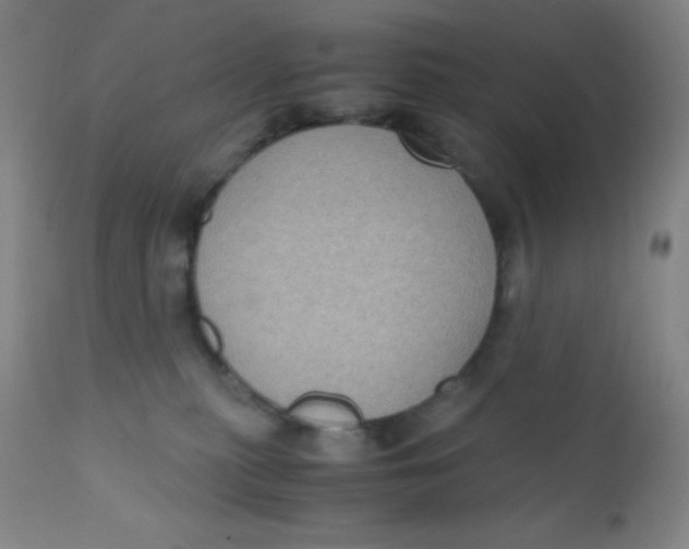 X0000110730279200907022117