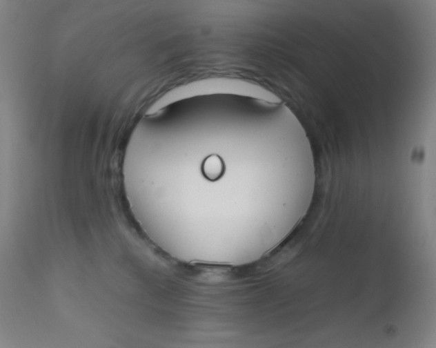 X0000110730280200907022117