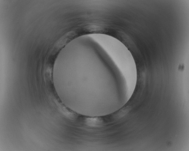 X0000110730281200907022117